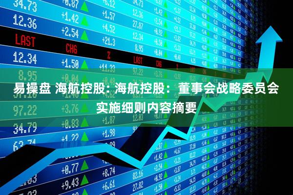 易操盘 海航控股: 海航控股：董事会战略委员会实施细则内容摘要