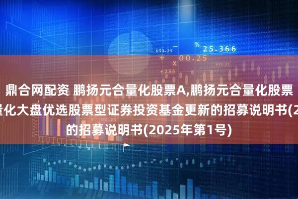 鼎合网配资 鹏扬元合量化股票A,鹏扬元合量化股票C: 鹏扬元合量化大盘优选股票型证券投资基金更新的招募说明书(2025年第1号)