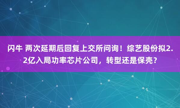 闪牛 两次延期后回复上交所问询！综艺股份拟2.2亿入局功率芯片公司，转型还是保壳？