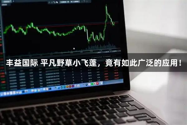 丰益国际 平凡野草小飞蓬，竟有如此广泛的应用！