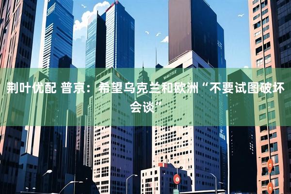 荆叶优配 普京：希望乌克兰和欧洲“不要试图破坏会谈”