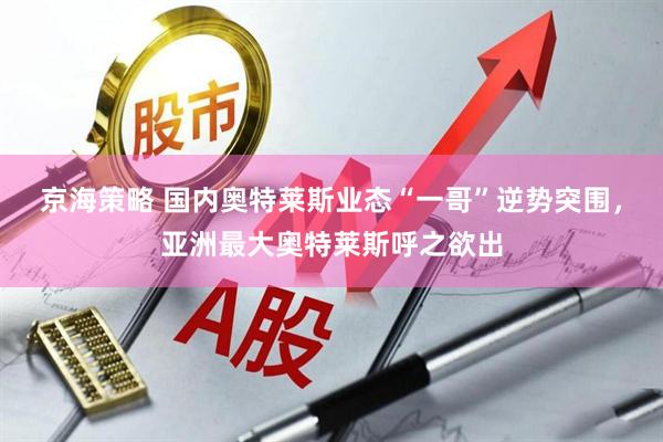 京海策略 国内奥特莱斯业态“一哥”逆势突围，亚洲最大奥特莱斯呼之欲出