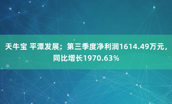 天牛宝 平潭发展:第三季度净利润1614.49万元,同比增长1970.63%